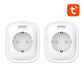 Gosund SP1 WiFi smart socket, 2 pieces (two-pack), 16A, Tuya
