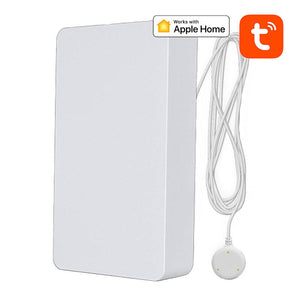 NEO NAS-WS05BH Smart Water Sensor HomeKit, ZigBee TUYA