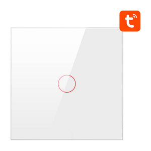 Smart lyskontakt ZigBee Avatto ZTS02-EU-W1 1-vejs TUYA (hvid)