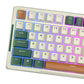 Belaidis mechaninis klaviatūra Royal Kludge RKH81 RGB, Sky cyan jungiklis (žalias)