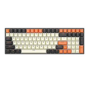 Mechanical keyboard Royal Kludge RK100 RGB, brown switch (black-orange)