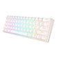 Mechanical keyboard Royal Kludge RK61 RGB, brown switch (white)
