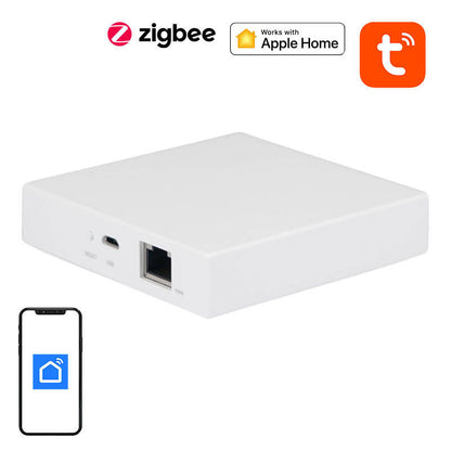 NEO NAS-ZW06WM Älykäs yhdyskäytävä Matter, ZigBee TUYA