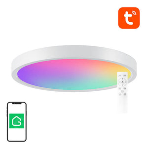 Nutikas laelamp 30cm WiFi/Bluetooth 16M RGBCW Gosund LB12 1920lm Tuya + kaugjuhtimispult.