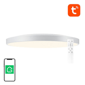 Nutikat laelampi 32cm WiFi/Bluetooth 16M RGBCW Gosund LB11 1920lm Tuya + kaugjuhtimispult.