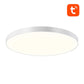 Nutikat laelampi 32cm WiFi/Bluetooth 16M RGBCW Gosund LB11 1920lm Tuya + kaugjuhtimispult.