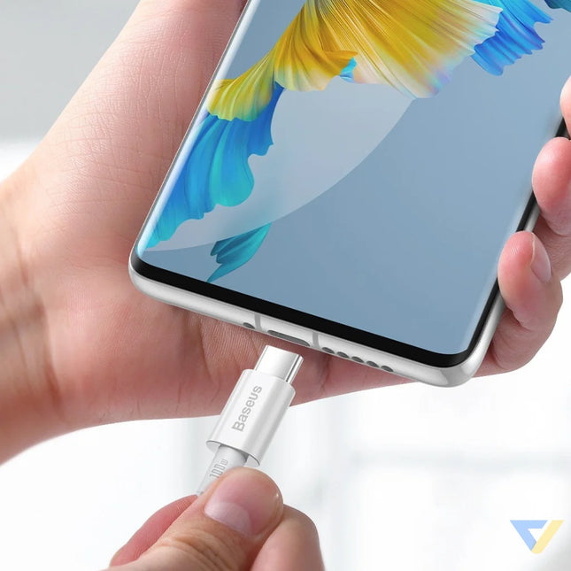 Baseus Superior Series Cable USB C to USB C 100W 1m (white) USB C to USB C