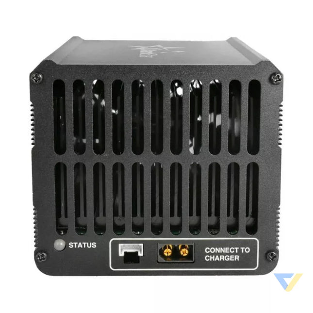 Battery Discharger Analyzer SkyRC BD350 for SkyRc T1000 and SkyRC D200Neo Tools and meters