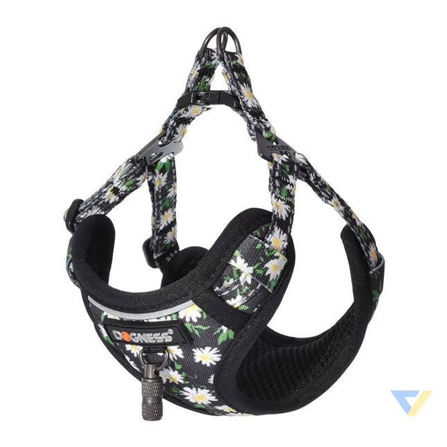 Dogness walking set leash 1,5m + harness for dog (multicolor) Walking and transportation