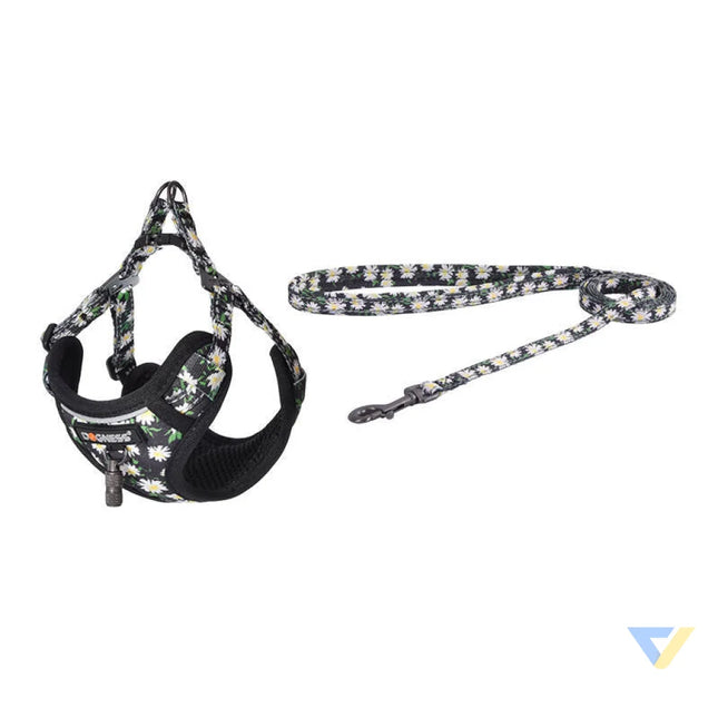 Dogness walking set leash 1,5m + harness for dog (multicolor) Walking and transportation
