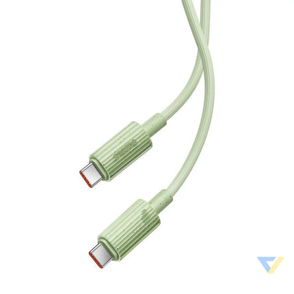 Fast Charging cable Baseus USB C to USB C Habitat Series 2m 100W (green) USB C to USB C