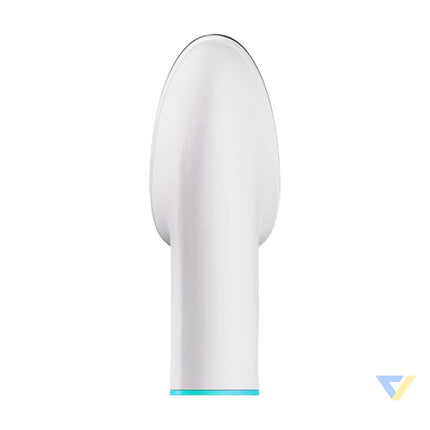 INSE P20 pet hair vacuum cleaner Animal care