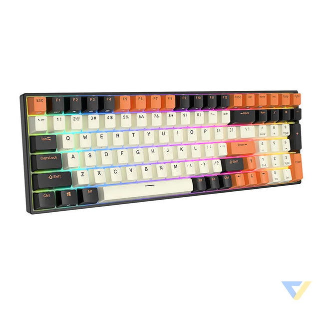 Mechanical keyboard Royal Kludge RK100 RGB brown switch (black orange) Wired
