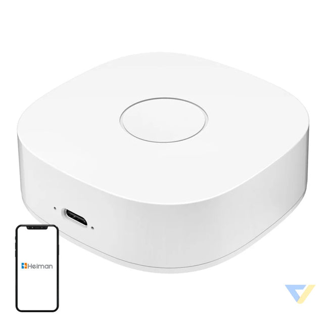 Smart home WS2GW R WiFi Smart Hubs