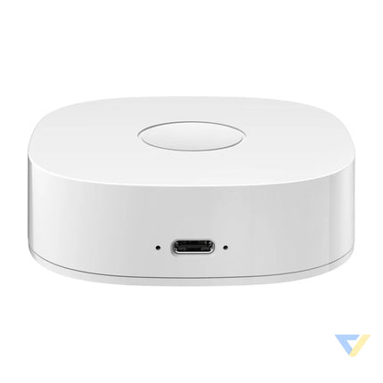 Smart home WS2GW R WiFi Smart Hubs
