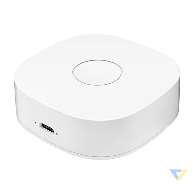 Smart home WS2GW R WiFi Smart Hubs