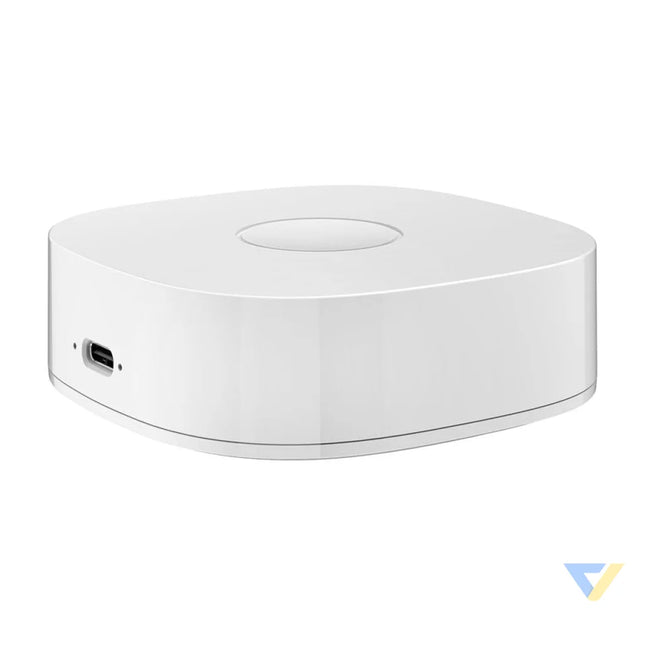 Smart home WS2GW R WiFi Smart Hubs