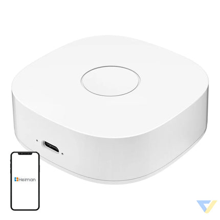 Smart home WS2GW R WiFi Smart Hubs