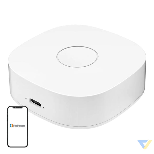 Smart home WS2GW R WiFi Smart Hubs
