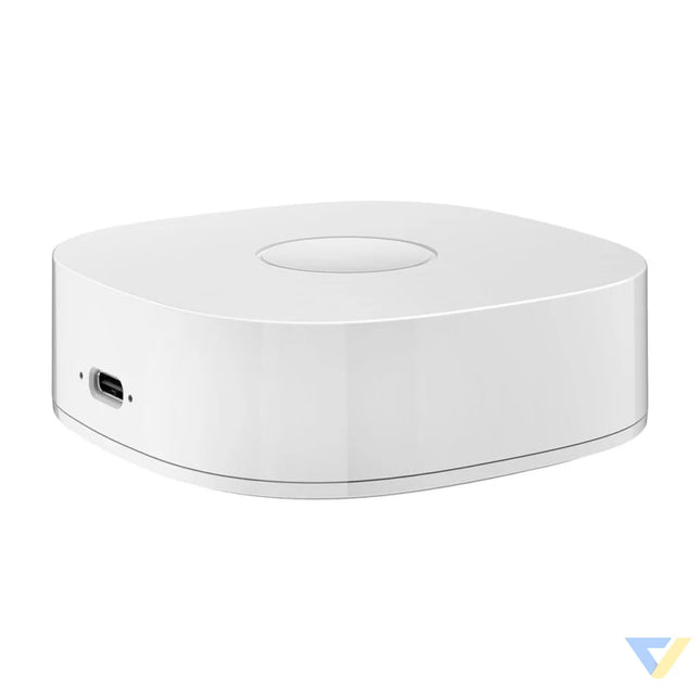 Smart home WS2GW R WiFi Smart Hubs