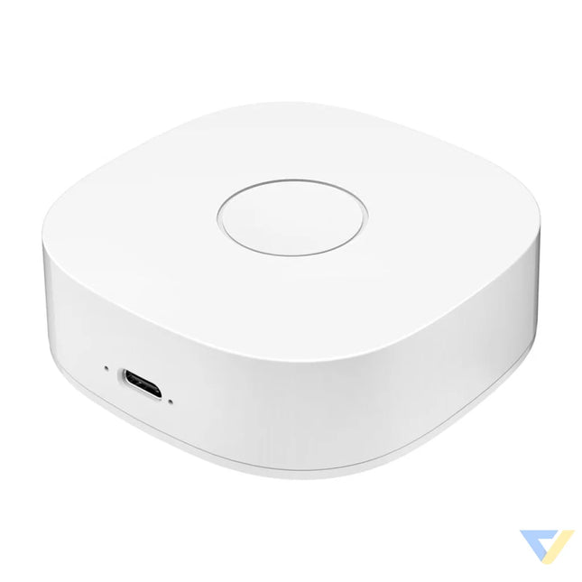 Smart home WS2GW R WiFi Smart Hubs