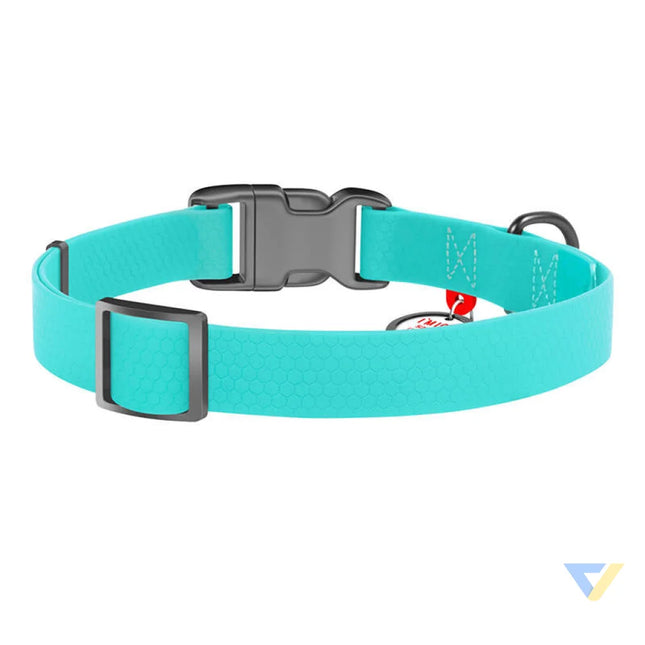 Waterproof glowing dog collar with QR passport WAUDOG 40 mm wide 46 70 cm long Walking and transportation