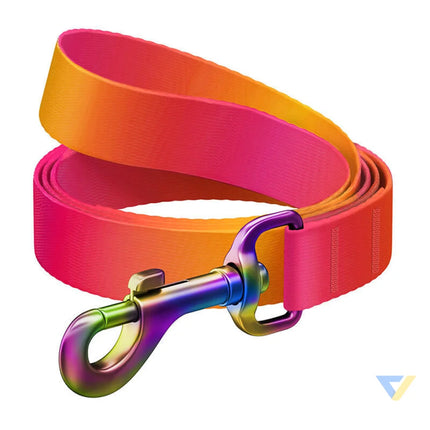 WAUDOG gradient nylon dog leash 20mm wide 122cm long orange Walking and transportation