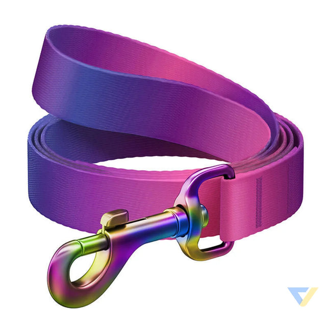WAUDOG gradient nylon dog leash 20mm wide 122cm long purple Walking and transportation