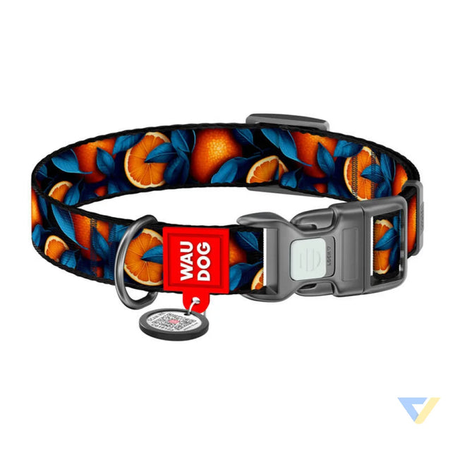 Waudog ’Oranges’ nylon dog collar with QR code size S Walking and transportation