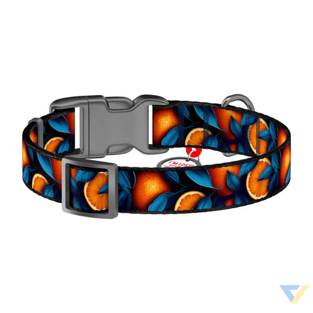 Waudog ’Oranges’ nylon dog collar with QR code size S Walking and transportation