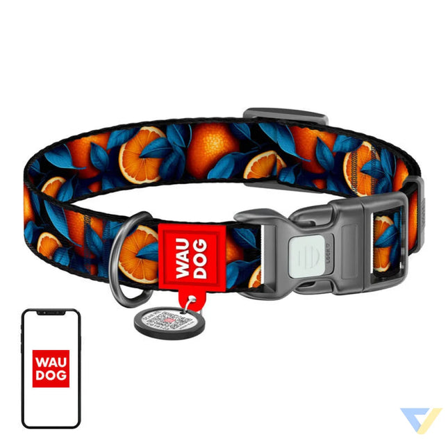 Waudog ’Oranges’ nylon dog collar with QR code size S Walking and transportation