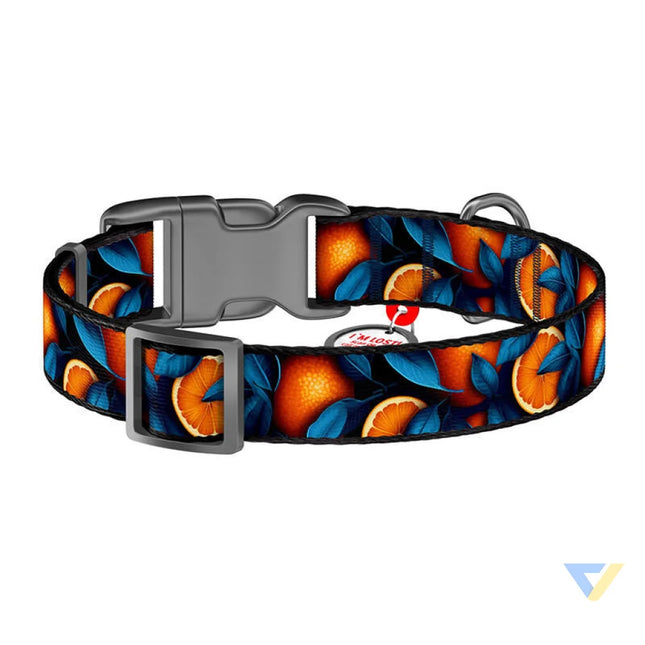 Waudog ’Oranges’ nylon dog collar with QR code size XL Walking and transportation