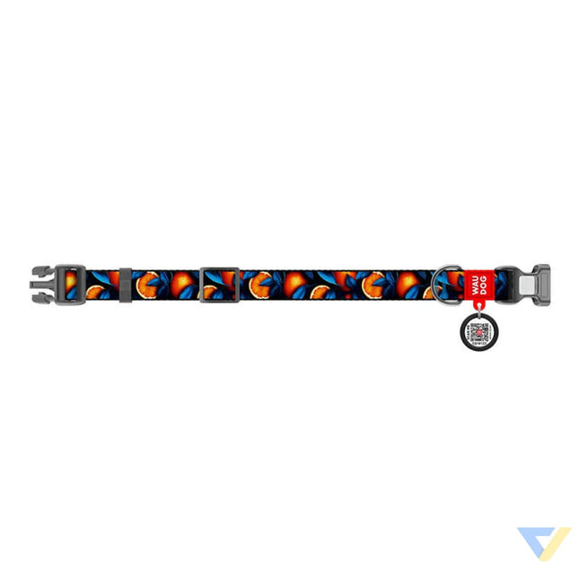 Waudog ’Oranges’ nylon dog collar with QR code size XL Walking and transportation