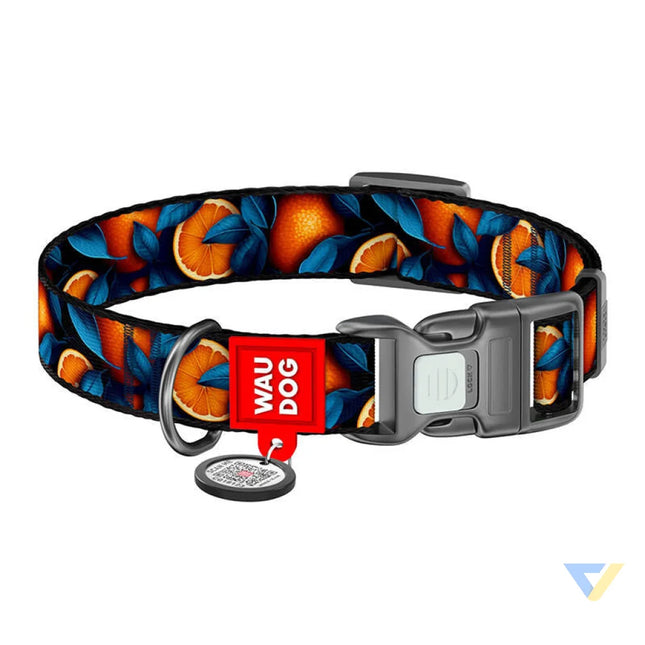 Waudog ’Oranges’ nylon dog collar with QR code size XL Walking and transportation