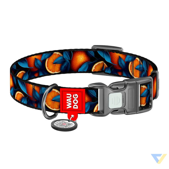 Waudog ’Oranges’ nylon dog collar with QR code size XL Walking and transportation