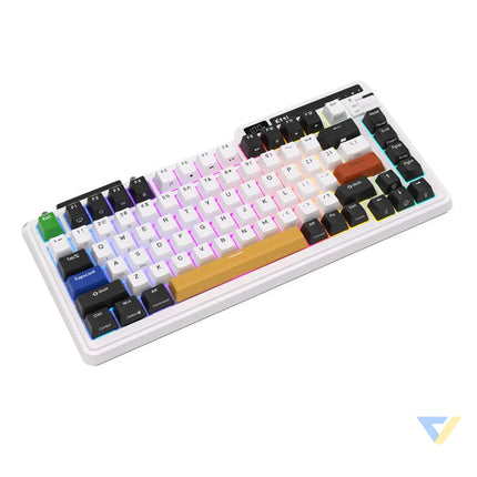 Wireless mechanical keyboard Royal Kludge KZZI K75 pro RGB Eternity Switch (black and white) Wireless