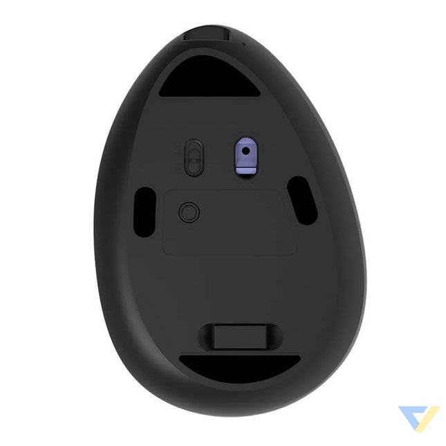 Wireless Vertical Mouse Delux M618DB BT4.0 + 2.4Ghz 4000DPI RGB Vertical mice